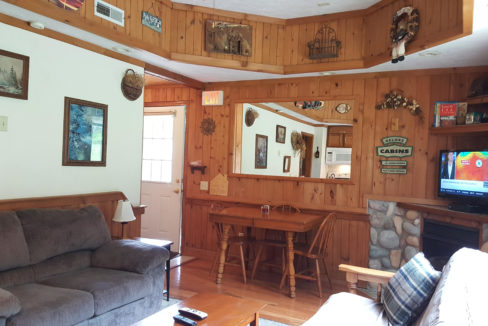 Mardi Gras Living Room Stone Mountain Chalets Ski Lodging Great Valley NY